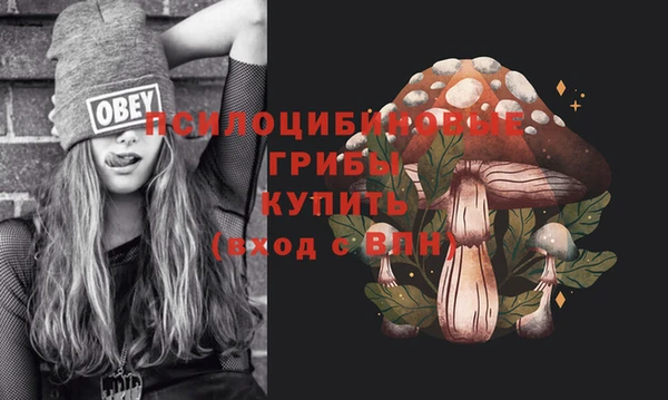 Альфа ПВП Костерёво