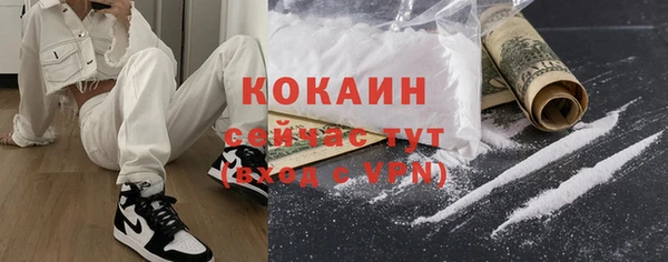 твердый Козловка