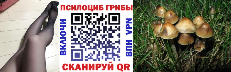 Псилоцибиновые грибы Psilocybine cubensis  Крымск 