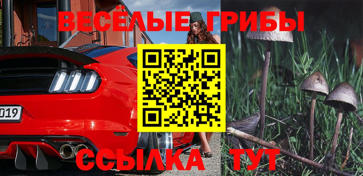 Псилоцибиновые грибы мицелий  Вход с VPN  Крымск  Псилоцибиновые грибы MAGIC MUSHROOMS 